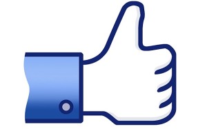 Facebook Like Button